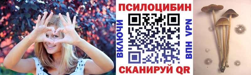 Галлюциногенные грибы мицелий  Гвардейск 