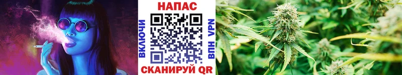 Шишки марихуана семена  даркнет сайт  Гвардейск 